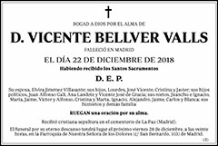 Vicente Bellver Valls